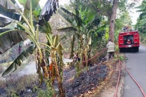 Prosesi pemadaman api yang membakar lahan milik warga desa Cibulan.